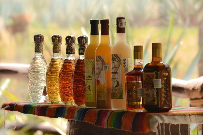 Cozumel Cultural Jeep Tour with Mayan Village and Mexican Lunch - FAQ