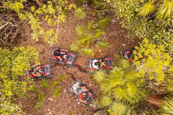 Cozumel: Discover Hidden Gems w/ Private guide - Practical Considerations