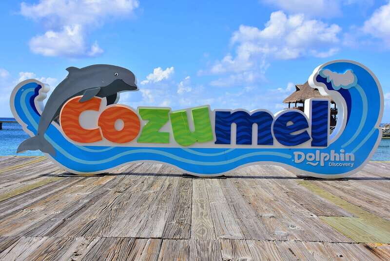Cozumel: Dolphin Royal Swim and Manatee Interaction - An In-Depth Look at the Tour