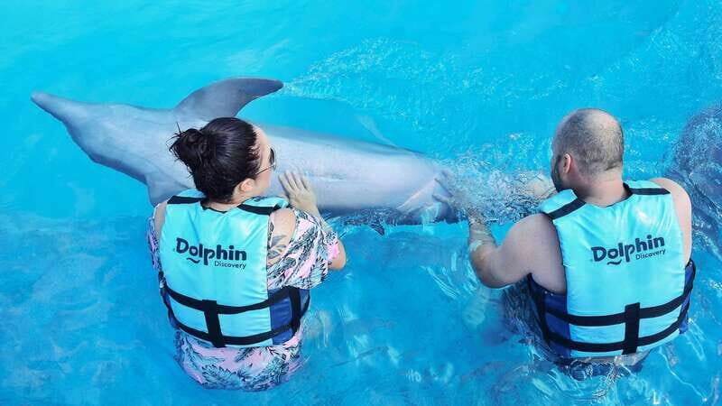Cozumel: Dolphin Royal Swim and Manatee Interaction - Final Thoughts