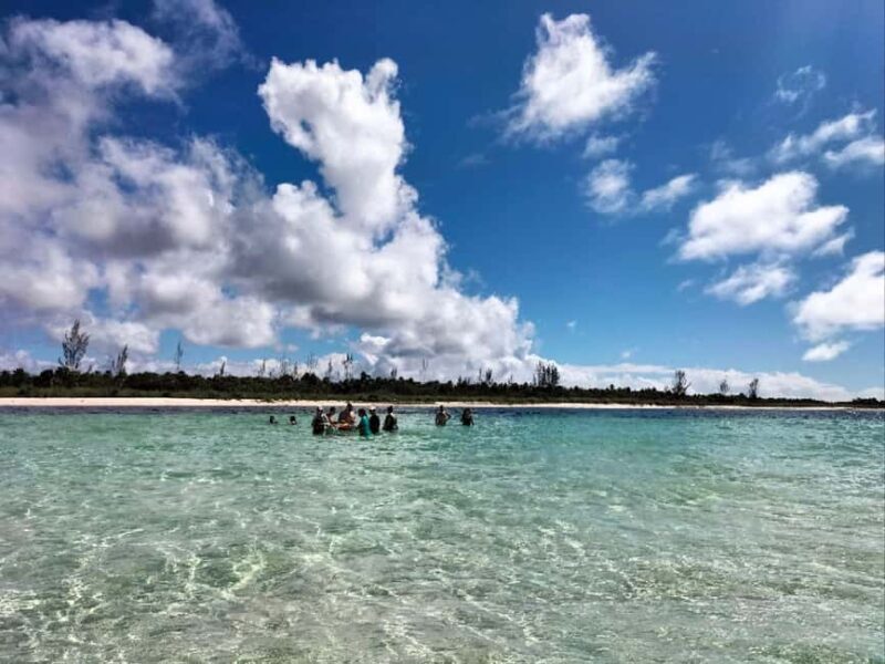 Cozumel, El Cielo: 4-Hour Shared Snorkeling Tour - The Sum Up