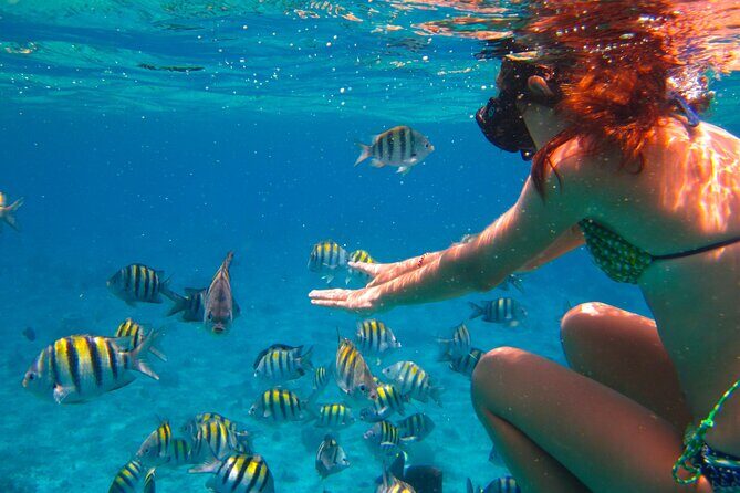 Cozumel El Cielo All Inclusive Tour from Cancun - Frequently Asked Questions