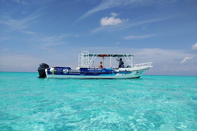 Cozumel El Cielo Sandbar and Reef Snorkeling Private Adventure - An In-Depth Look at the Tour Itinerary
