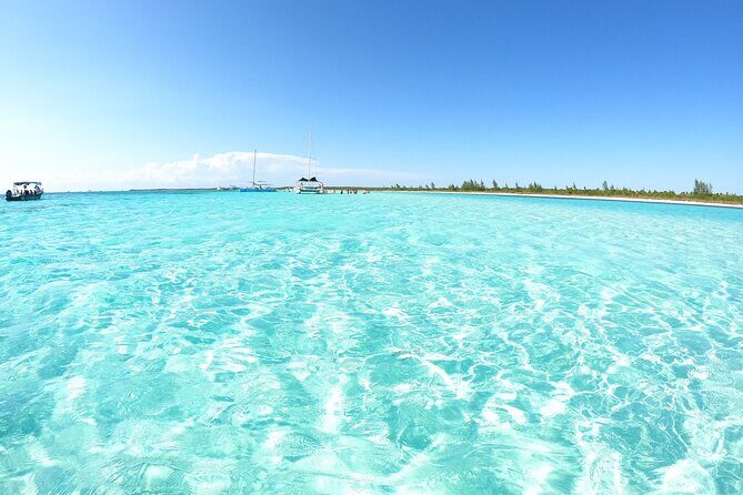 Cozumel El Cielo Snorkeling Tour - Exploring the Cozumel El Cielo Snorkeling Tour: A Balanced Review