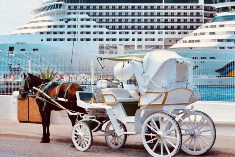 Cozumel: Electric Carriage Tour - Why We Think This Tour Offers Great Value