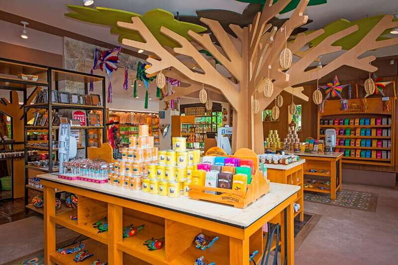 Cozumel: General Admission to the Mayan Cacao Experience - Who Should Consider This Tour?