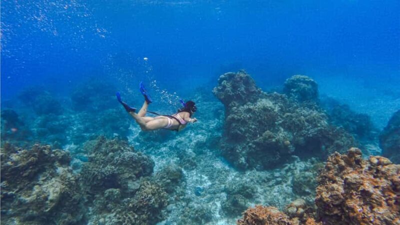 Cozumel: Hop on a glass-bottom boat and dive into a snorkeling adventure - An Authentic Cozumel Experience in Focus