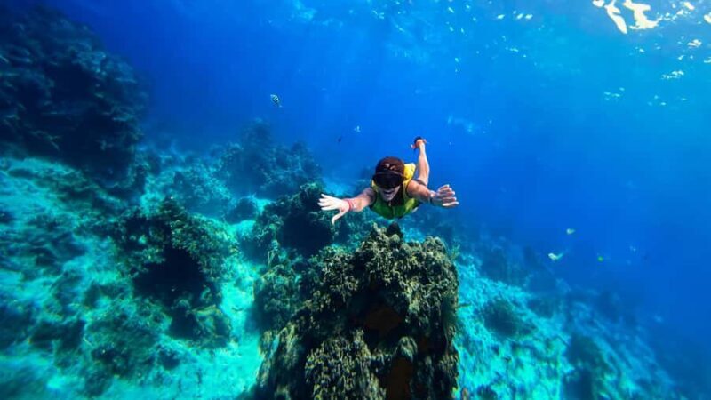 Cozumel: Hop on a glass-bottom boat and dive into a snorkeling adventure - Detailed Breakdown of the Experience