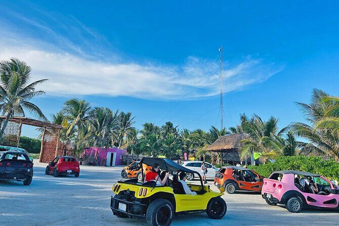 Cozumel Island Buggy & Visit San Martin Beach from Cancun & Playa del Carmen - Key Points