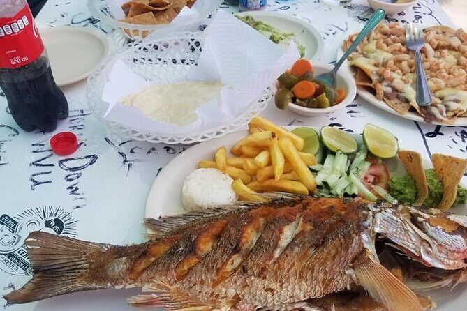 Cozumel Island Tours - Who Will Love This Tour?