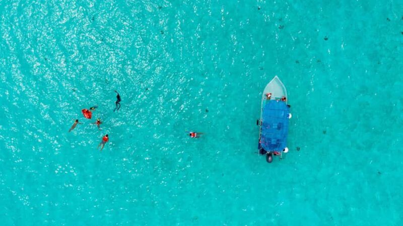 Cozumel: KUZÁ Day Pass, Buffet, Open Bar & El Cielo Snorkel - Key Points