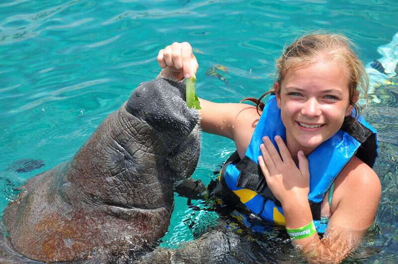 Cozumel: Manatee Encounter, Chankanaab Admission and Buffet - FAQs