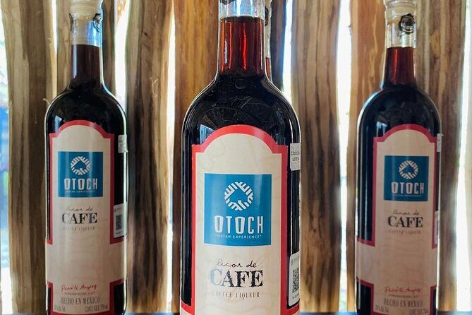 Cozumel Mayan Cultural Show: Dances, tastings & explore - Practical Tips for Participants