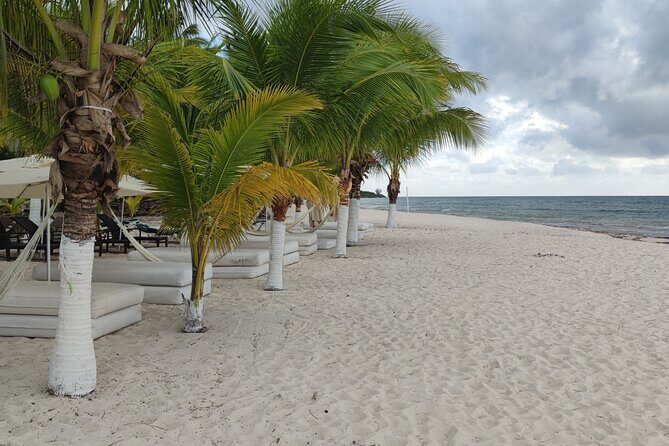 Cozumel Mayan Ruins and Beach Break - Who Will Love This Tour?