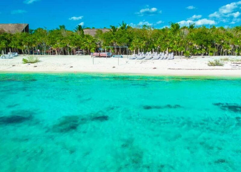 Cozumel: Mexican Mixology Workshop by the Sea - A Closer Look at the Experience