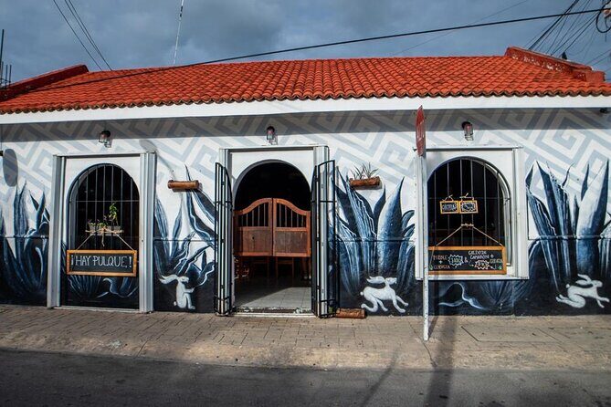 Cozumel Mezcal Masterclass and Gourmet Experience - Final Thoughts