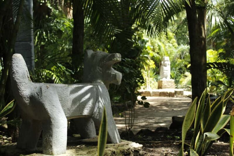 Cozumel: Official Chankanaab Park and Snorkeling with Lunch - FAQ: Your Practical Questions Answered