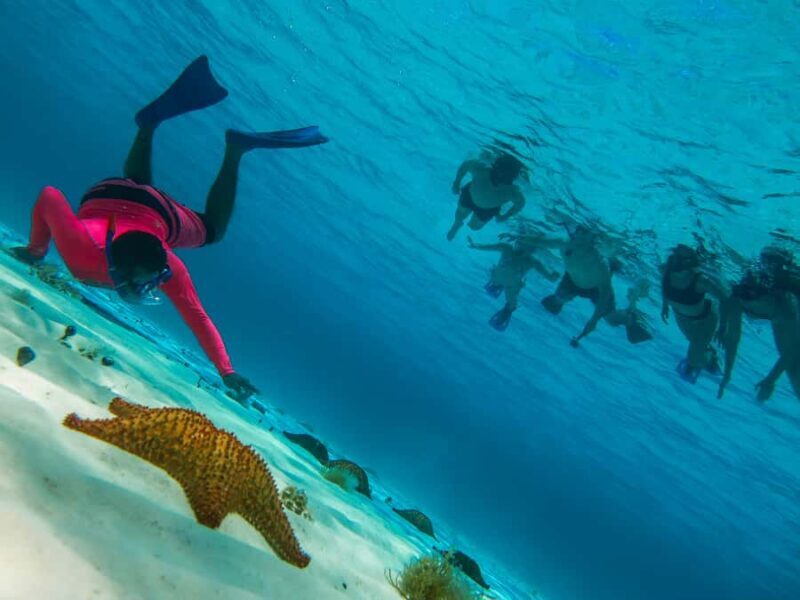 Cozumel: Palancar, Columbia and Cielo Reefs Snorkeling Tour - An Introduction to the Snorkeling Adventure