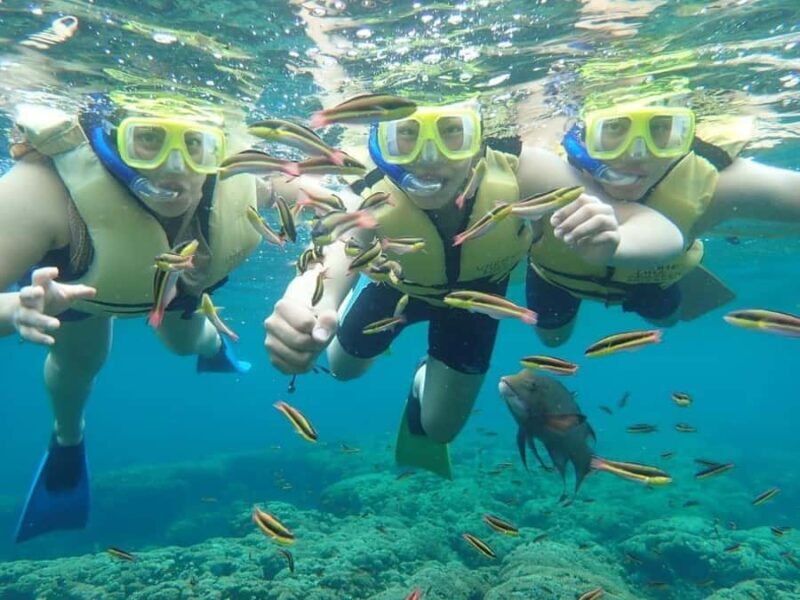 Cozumel: Palancar, Columbia and Cielo Reefs Snorkeling Tour - Frequently Asked Questions