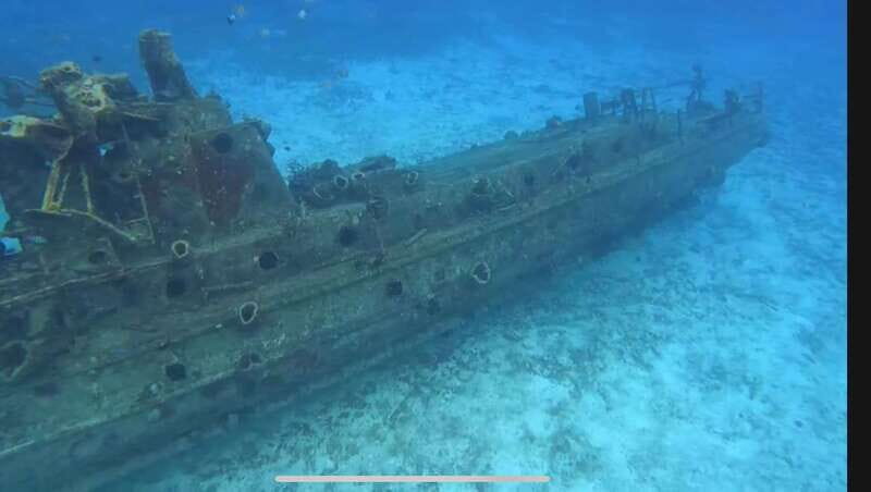 Cozumel, Passion Island: 4-Hour Private Tour - Key Points