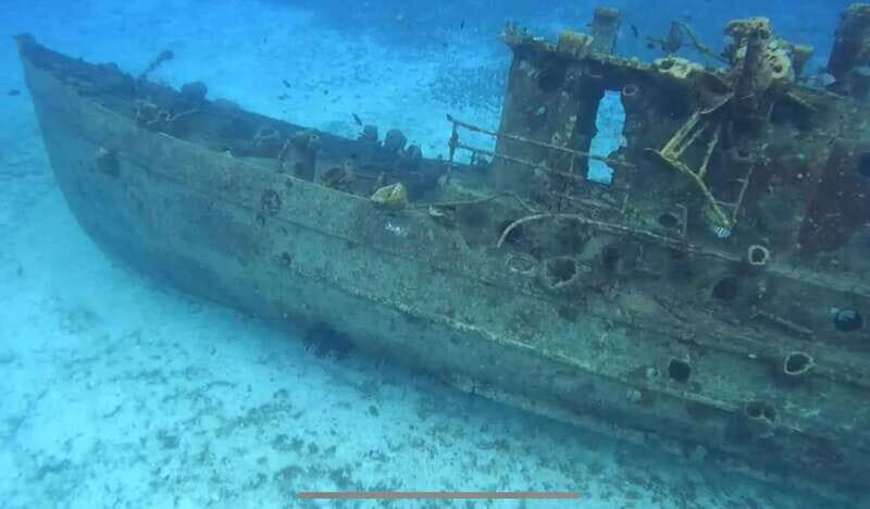 Cozumel, Passion Island: 4-Hour Private Tour - Why This Tour Stands Out