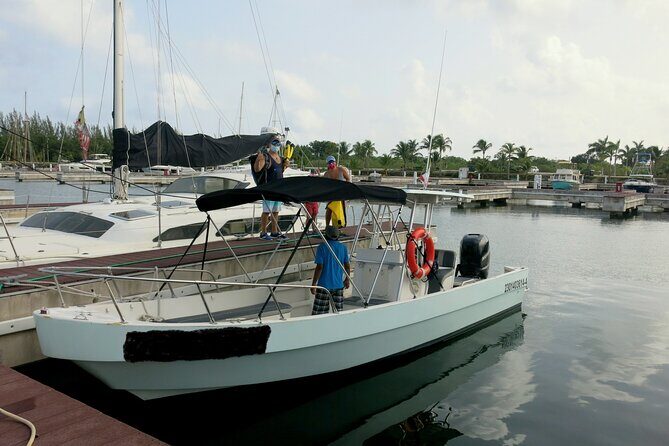 Cozumel Private 4-Hour Boat Tour to Passion Island - Why Choose This Tour?
