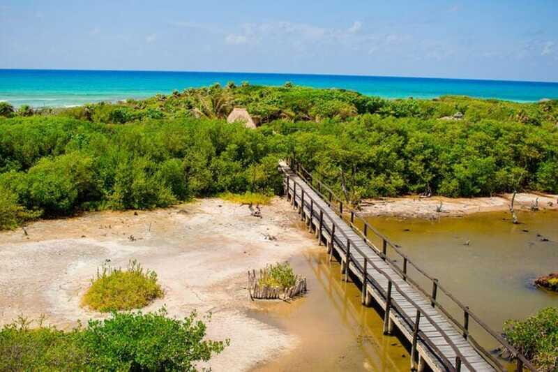Cozumel: Private Buggy Tour to Punta Sur Park All Inclusive - The Sum Up