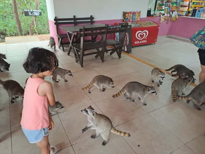 Cozumel: Private Car, Driver & Certified Tour Guide - Practical Details for Travelers