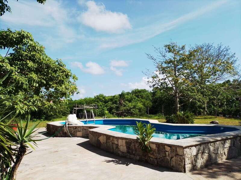 Cozumel: Private Caves and Ruins Tour with Lunch 5 Hours - How the Tour Fits Into Your Cozumel Visit