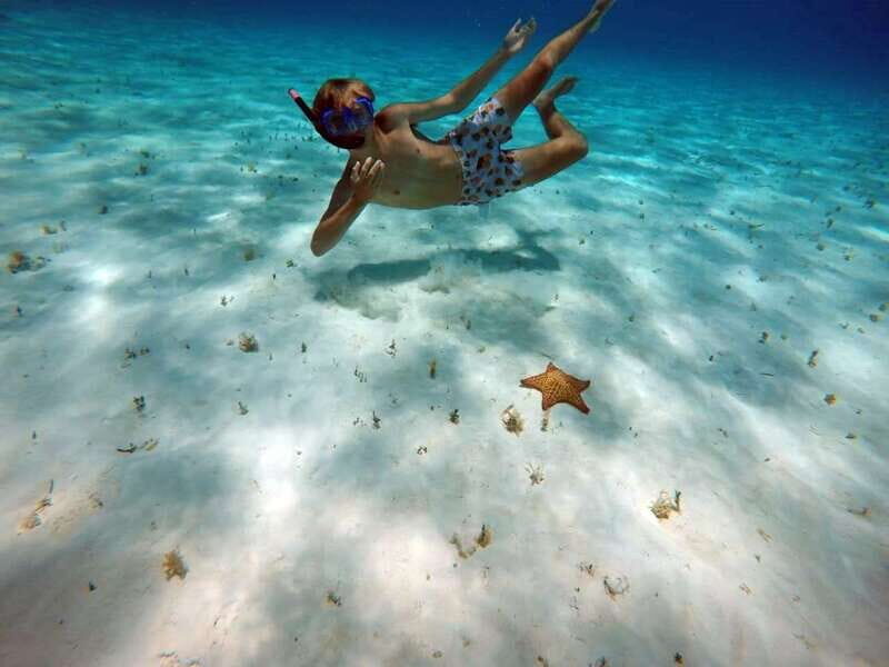 Cozumel: Private Charter Boat and Snorkel Day Trip - Who Should Book This Tour?