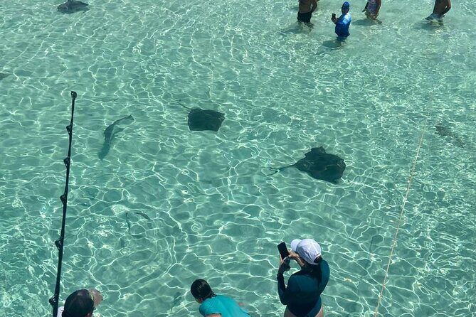 Cozumel Private El Cielo and Fishing Charter - Who Should Consider This Tour?