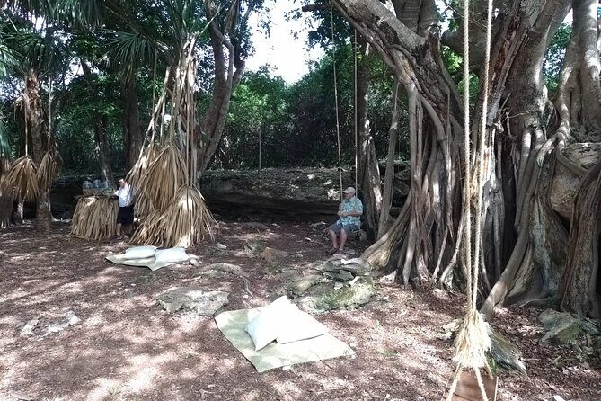 Cozumel Private Island Tour with ATV Adventure - Who Is This Tour Best For?
