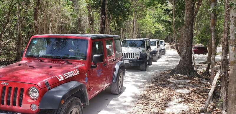 Cozumel: Private Jeep Tour Shore Excursion - The Overall Value