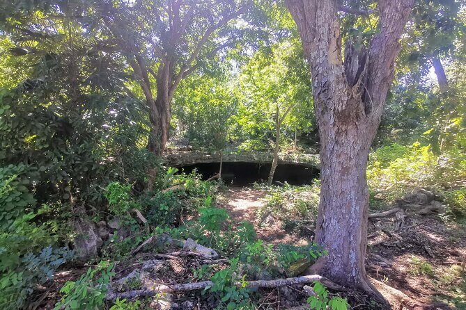 Cozumel Private Mayan caves & history Tour with cenote & Lunch - Is It Worth the Price?