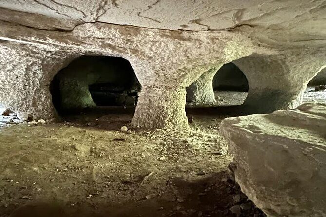 Cozumel Private Mayan caves & history Tour with cenote & Lunch - Who Will Love This Tour?