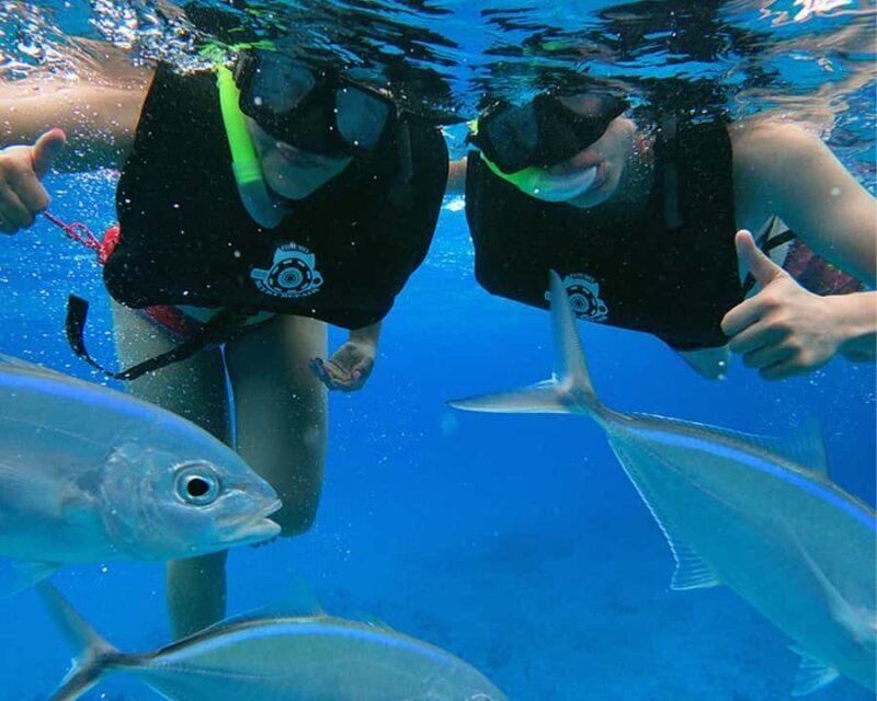 Cozumel: Private Snorkel Experience at Skyreef Beach Club - FAQs