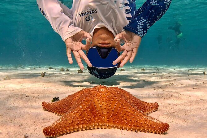 Cozumel Private Snorkeling and Charter Experience - FAQ