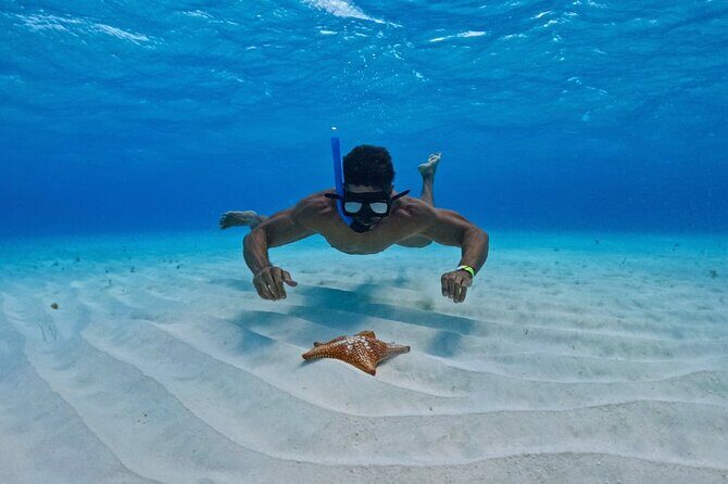 Cozumel Reef Snorkeling Tour - The All-Inclusive Lunch and Relaxation