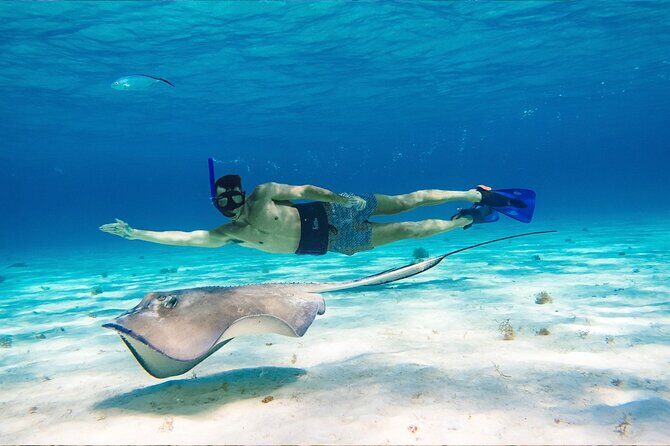 Cozumel Reef Snorkeling Tour - Transportation and Logistics