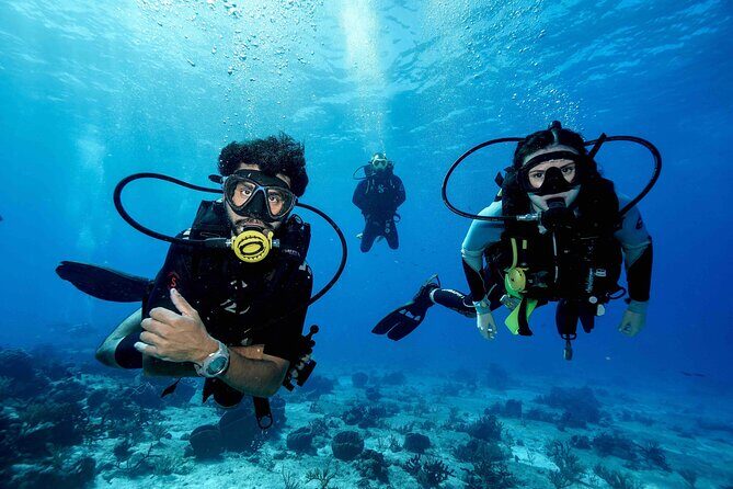 Cozumel Reef Suba Diving Adventure for Certified Divers - Key Points