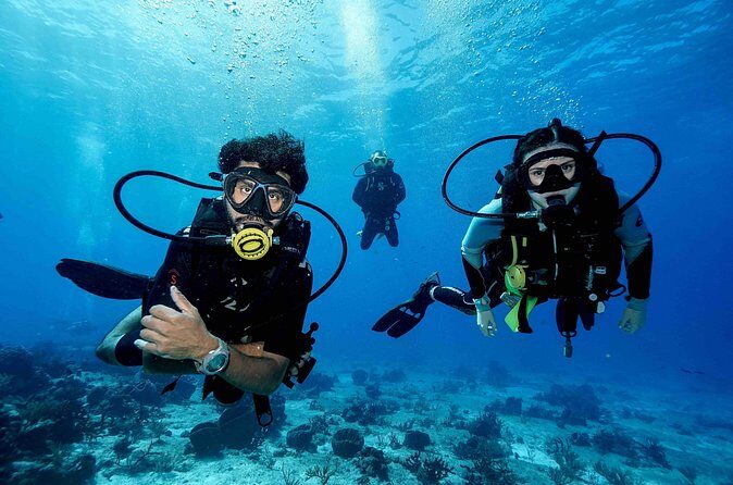 Cozumel Reef Suba Diving Adventure for Certified Divers - Final Thoughts