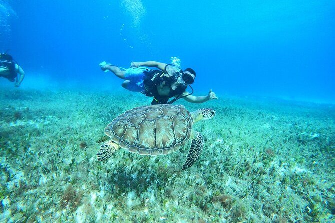 Cozumel Scuba Dive at Chankanaab - FAQ