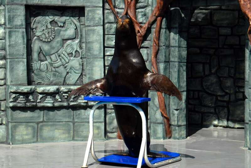 Cozumel: Sea Lion Program at Chankanaab Beach Adventure Park - The Park and Its Surroundings