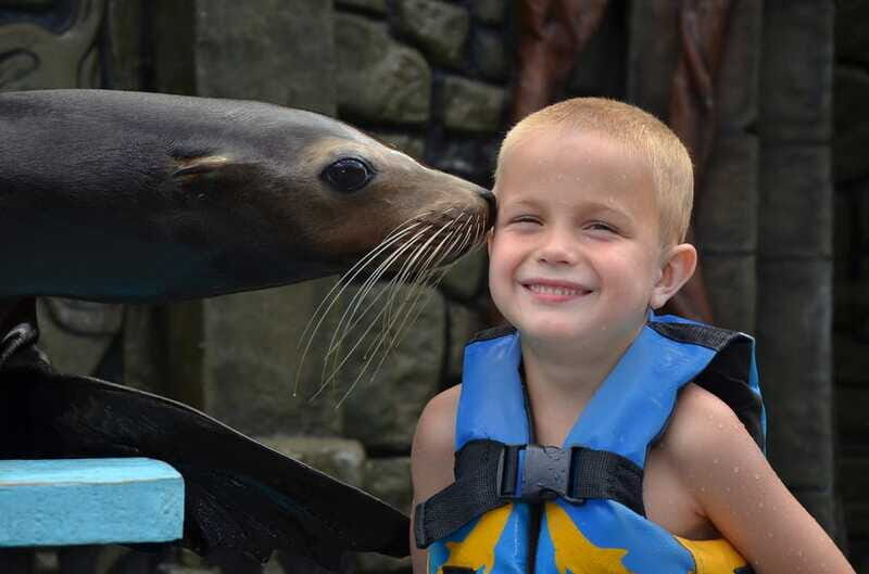 Cozumel: Sea Lion Program at Chankanaab Beach Adventure Park - Practical Tips for Visitors