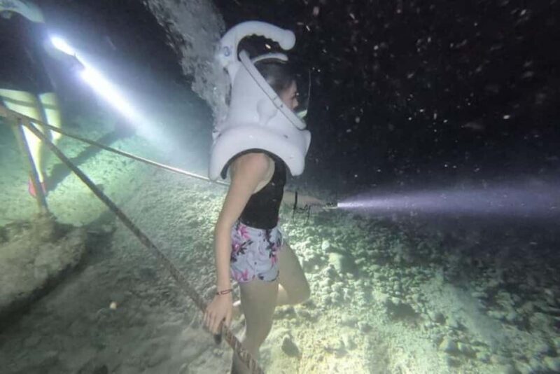 Cozumel: Sea Trek Underwater Night Dive Experience - Key Points