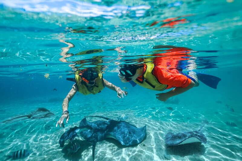Cozumel: Snorkel and Swim with Stingrays - The Experience’s Strengths and Considerations