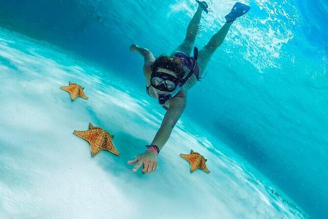 Cozumel Snorkel Experience! El Cielo Beach & Reef from Tulum City - What Travelers Are Saying