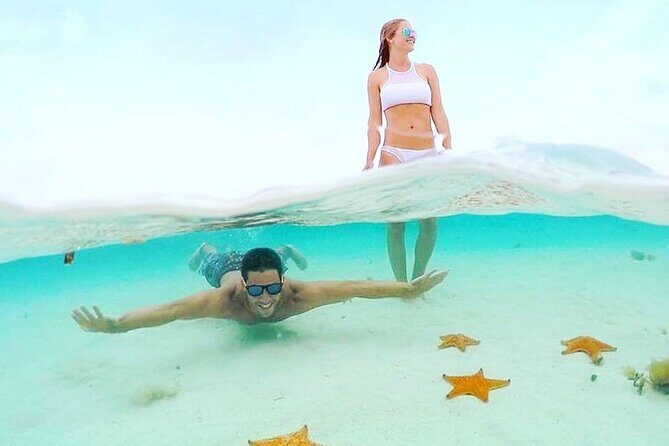 Cozumel Snorkel Experience! El Cielo Beach & Reef from Tulum City - The Sum Up