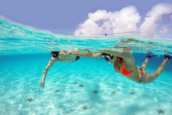 Cozumel Snorkeling Adventure full day Tour - An In-Depth Look at the Cozumel Snorkeling Adventure Tour