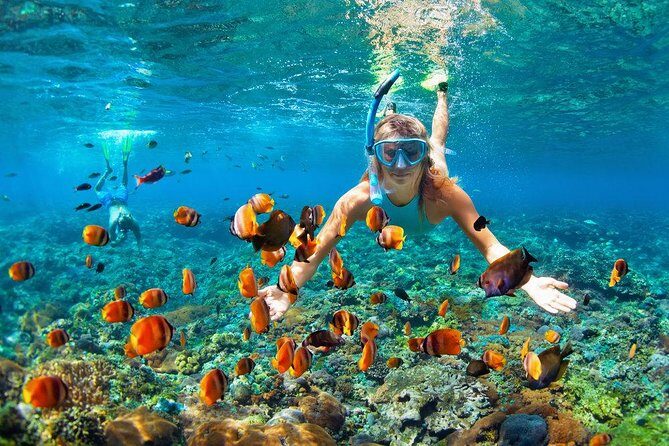 Cozumel Snorkeling Adventure full day Tour - Frequently Asked Questions